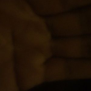 Meet your Posher, Rosa